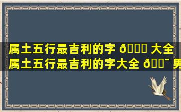 属土五行最吉利的字 🐈 大全（属土五行最吉利的字大全 🐯 男孩名字）